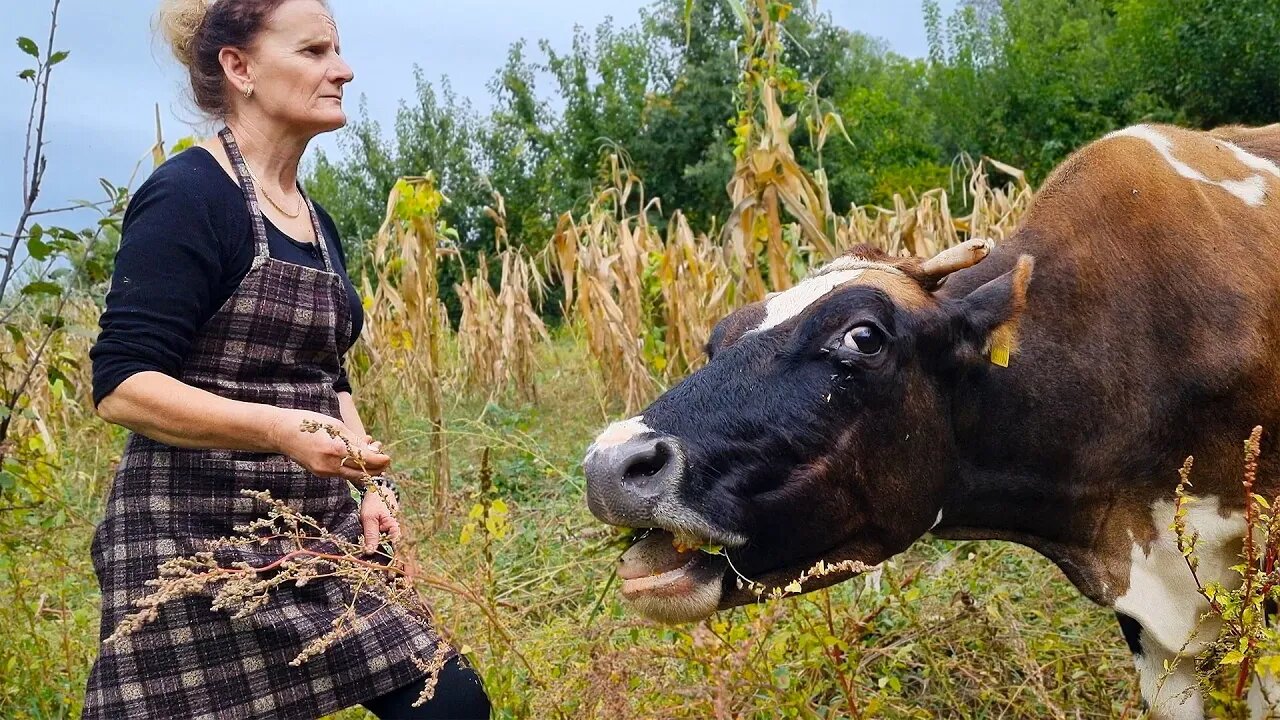 Mix of Rural Village Life: Authentic Albania!