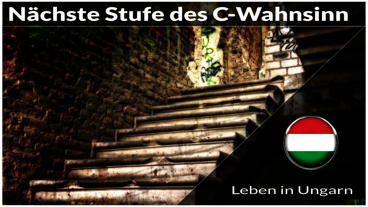 Die nächste Stufe des Wahnsinn - Leben in Ungarn
