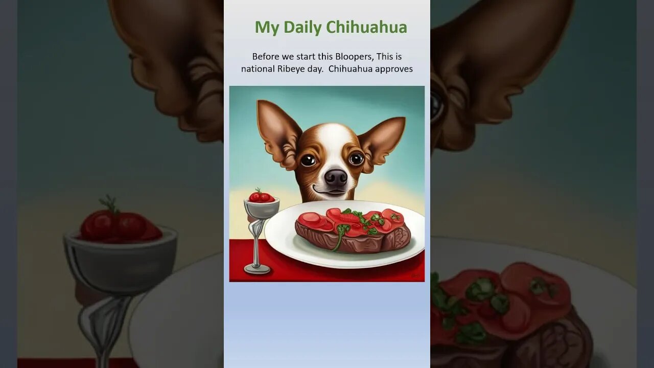 National Ribeye Day and Chihuahua bloopers from the last couple of days. #shorts