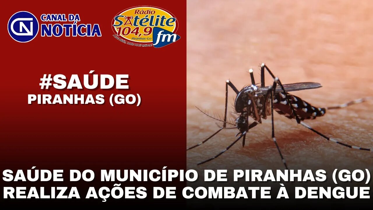 SAÚDE DO MUNICÍPIO DE PIRANHAS (GO) REALIZA AÇÕES DE COMBATE À DENGUE