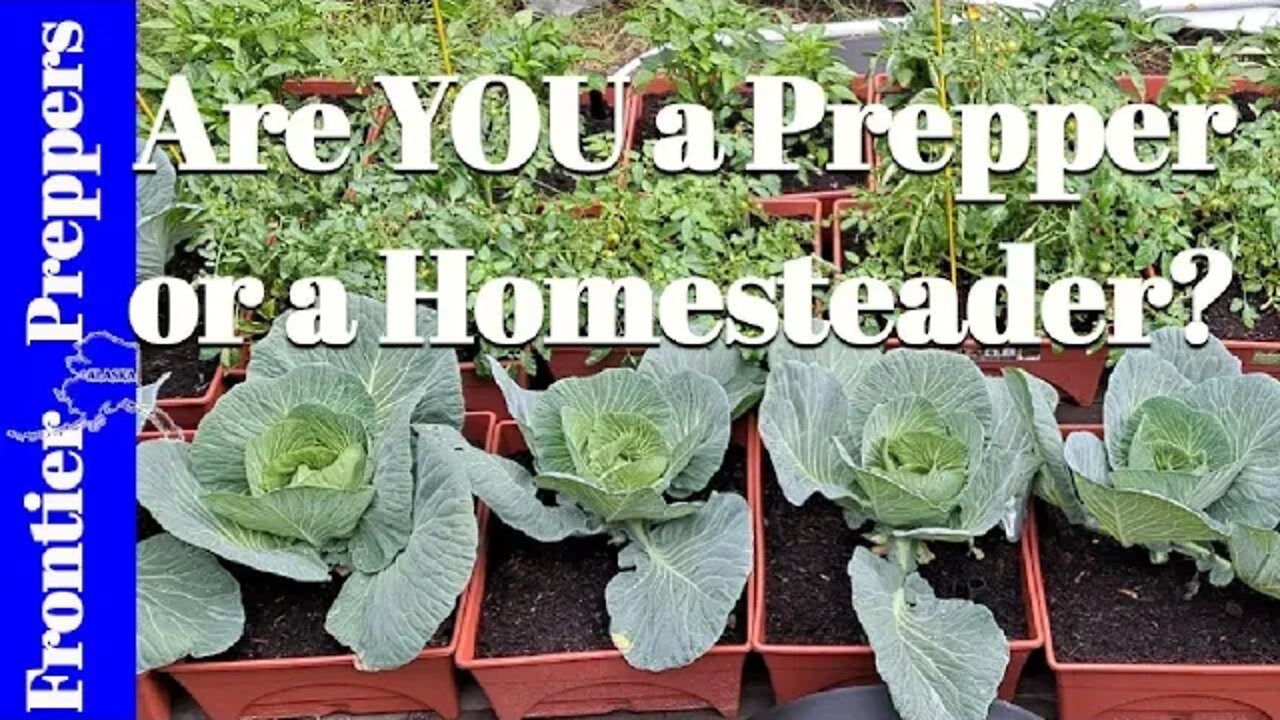 Are YOU a PREPPER or a HOMESTEADER?