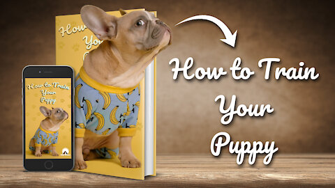 How to Train Your Puppy - Basic dog training reveals a list of the TOP 10 essential commands