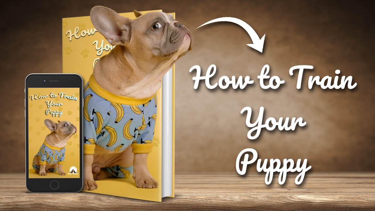 How to Train Your Puppy - Basic dog training reveals a list of the TOP 10 essential commands