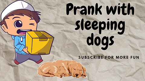 Troll the sweet sleeping dogs // Funny dogs prank