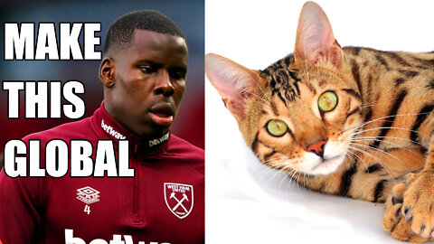 Kurt Zouma is a Disgusting Animal Abuser | Kicks and Slaps his Pet Cat