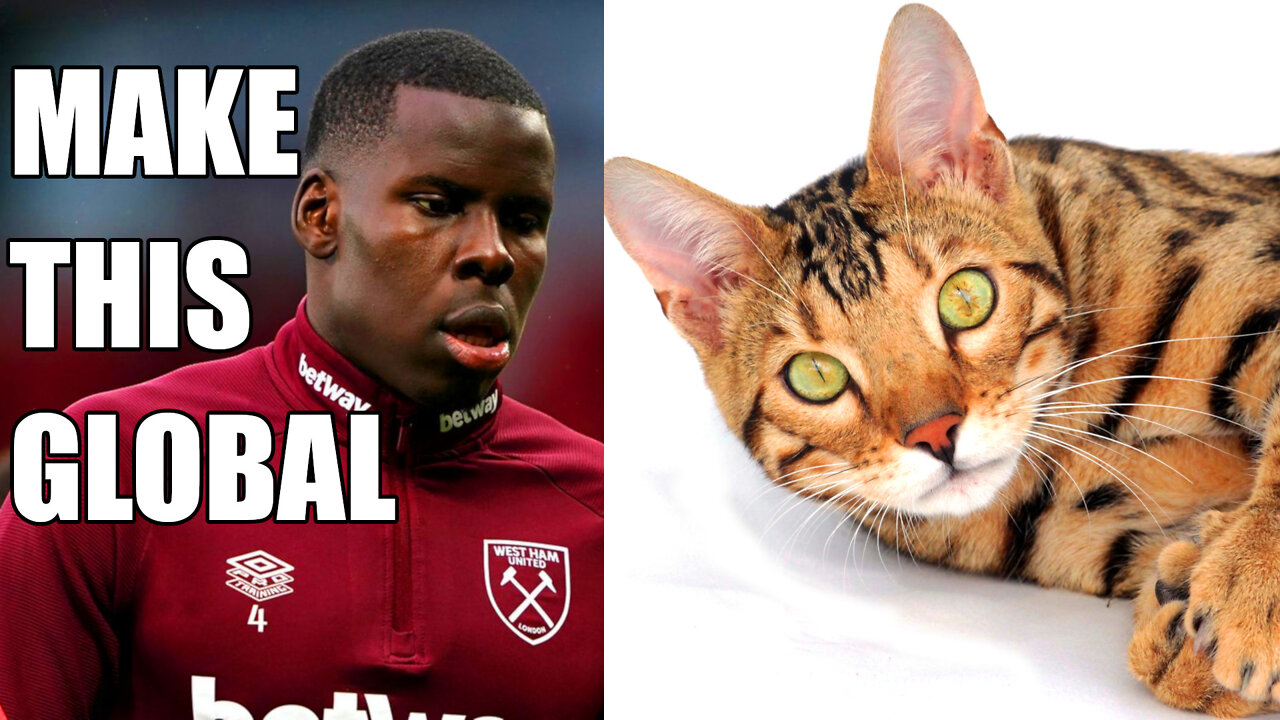 Kurt Zouma is a Disgusting Animal Abuser | Kicks and Slaps his Pet Cat