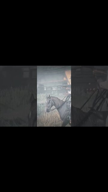 daily dose rdr2#2