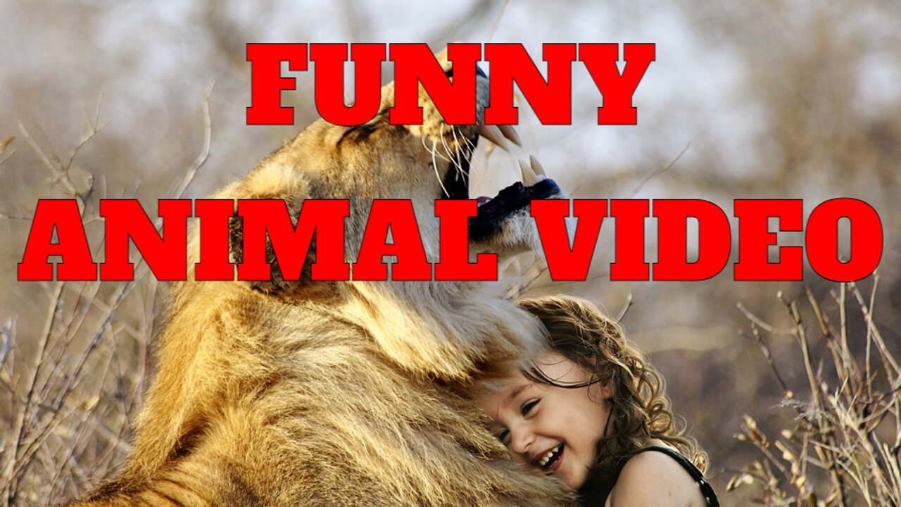 Funny animal videos (Cute animal videos )Funny dog and cat videos