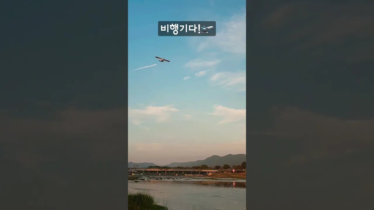 꽃 축제 즐기는 법[Flower festival🌷] #Shorts