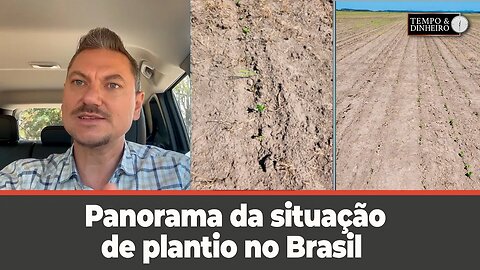 Situação de plantio no Brasil - Alexandre Gazzola comenta