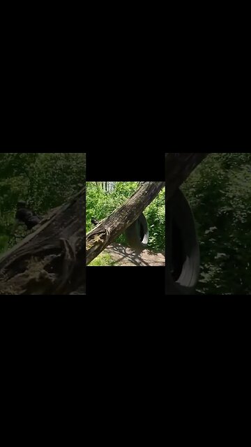 Hitting the dirt #bmx #shortsvideo