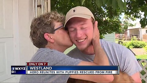 'I’d say that he’s my hero.' Westland woman grateful young man saved puppies from fire