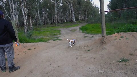 Mud and laughter