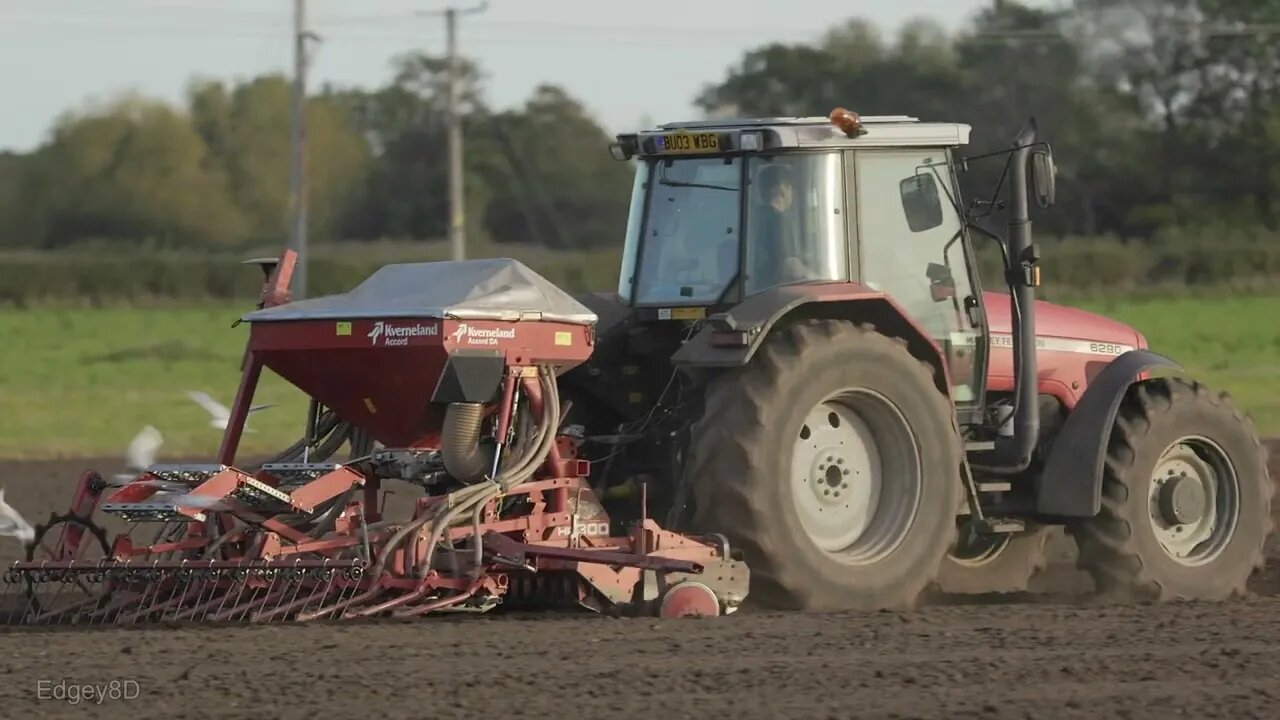 Massey Ferguson 6390 Drilling Kverneland Accord