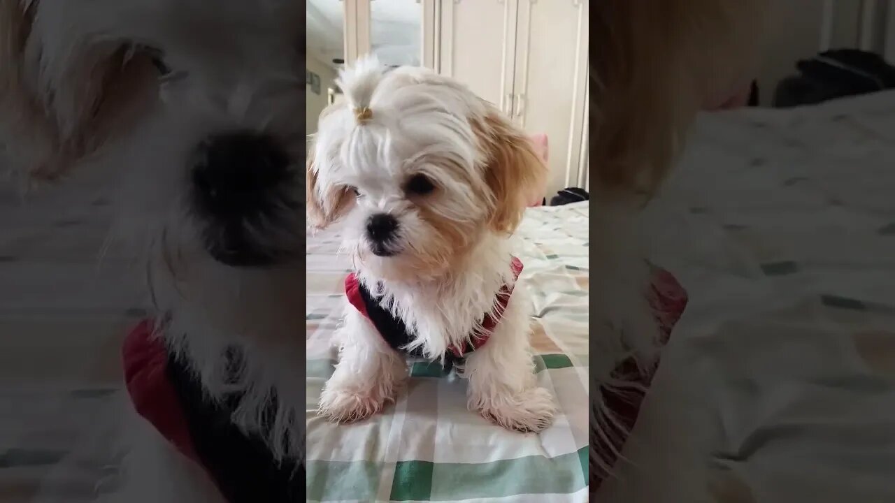 cute💚coco