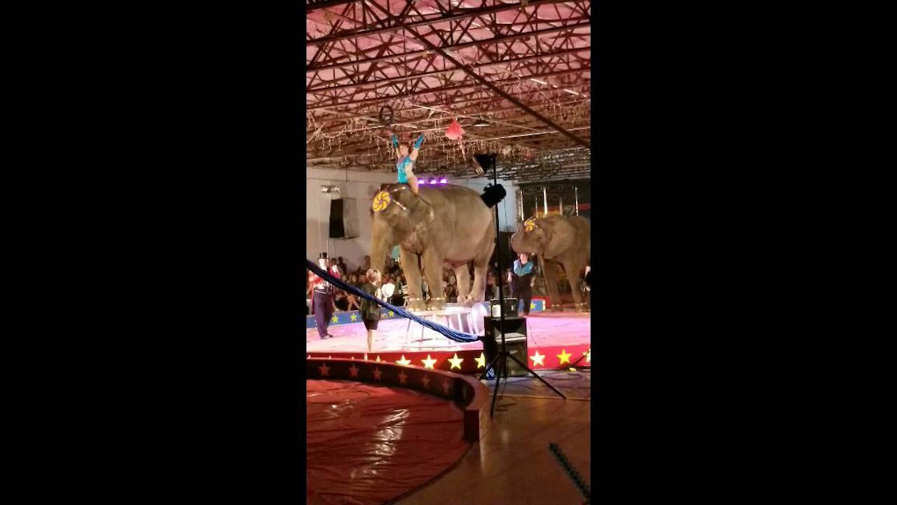 Ball Balancing Elephant