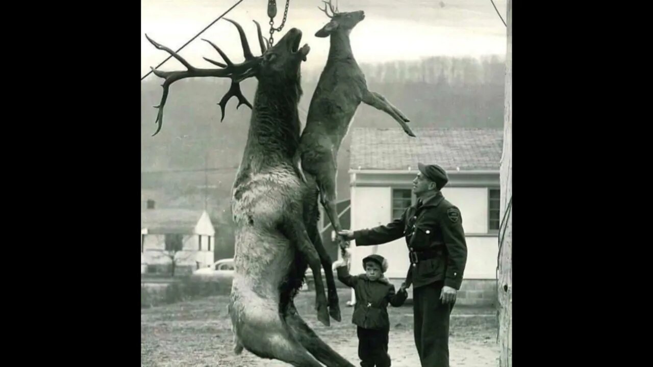 64 Vintage hunting photos that show life in another era