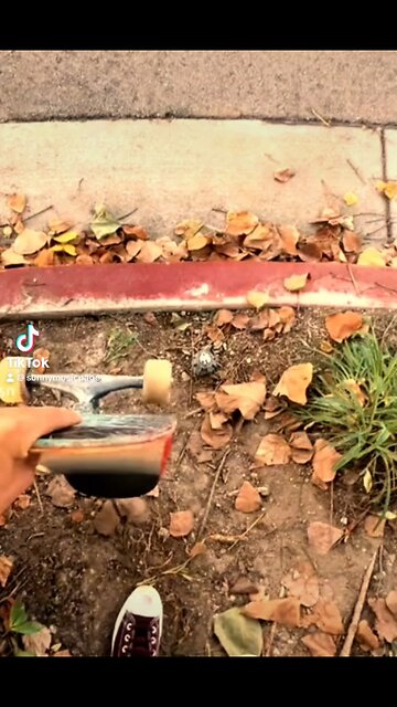 Cool skateboard tricks