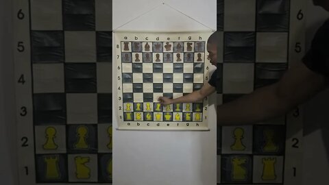 Chess Blooper 17