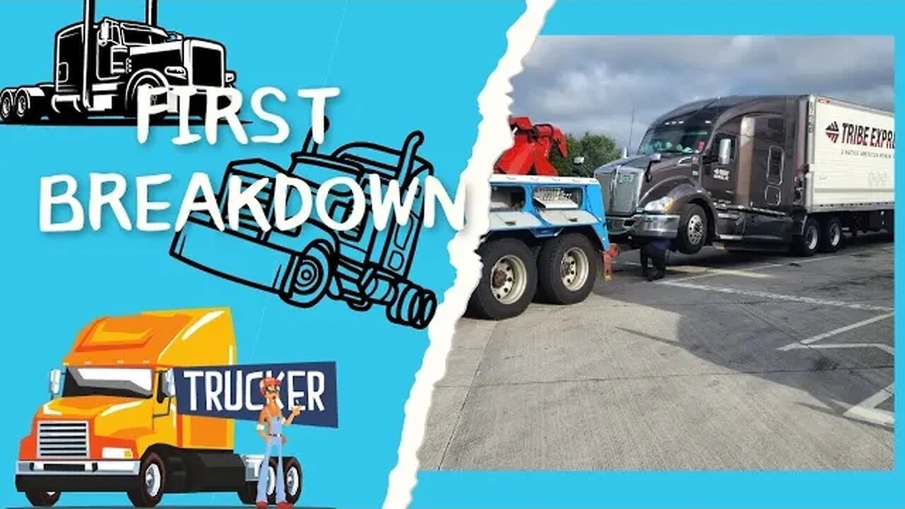 Tribe Express | What to expect after your first breakdown | Pros and Cons