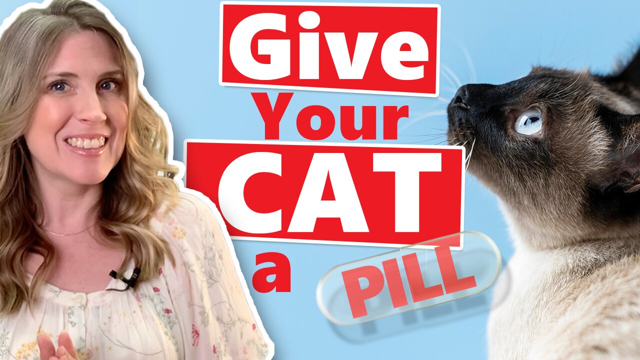 HOW TO Give Your CAT a PILL *Updated 2022* NEW TIPS!