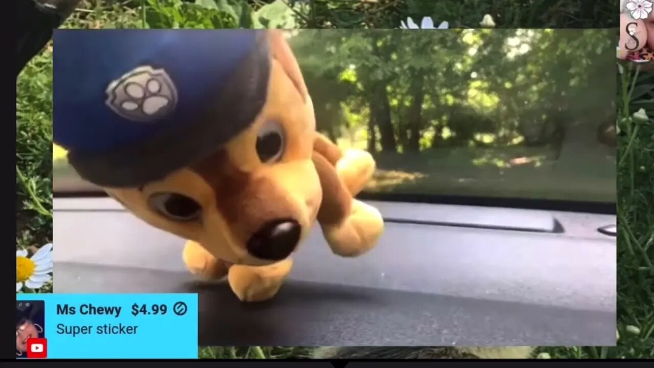 “SummerLand” pt 2 #summerwells