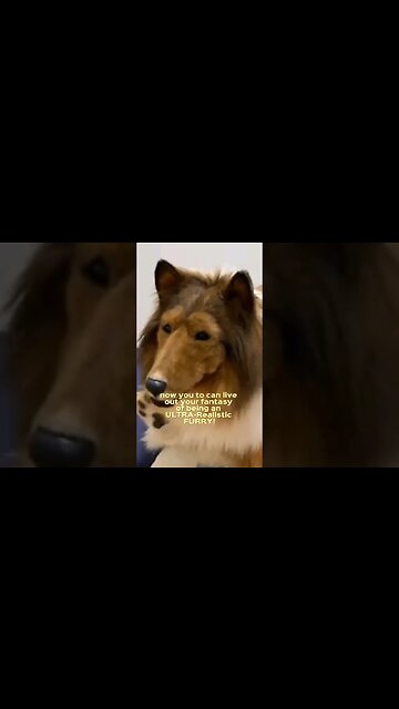 Now you too can live out your FURRY FANTASY...and become one!!!!