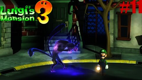 Luigi's NOT a Cat Person!!!: Luigi's Mansion 3 #11