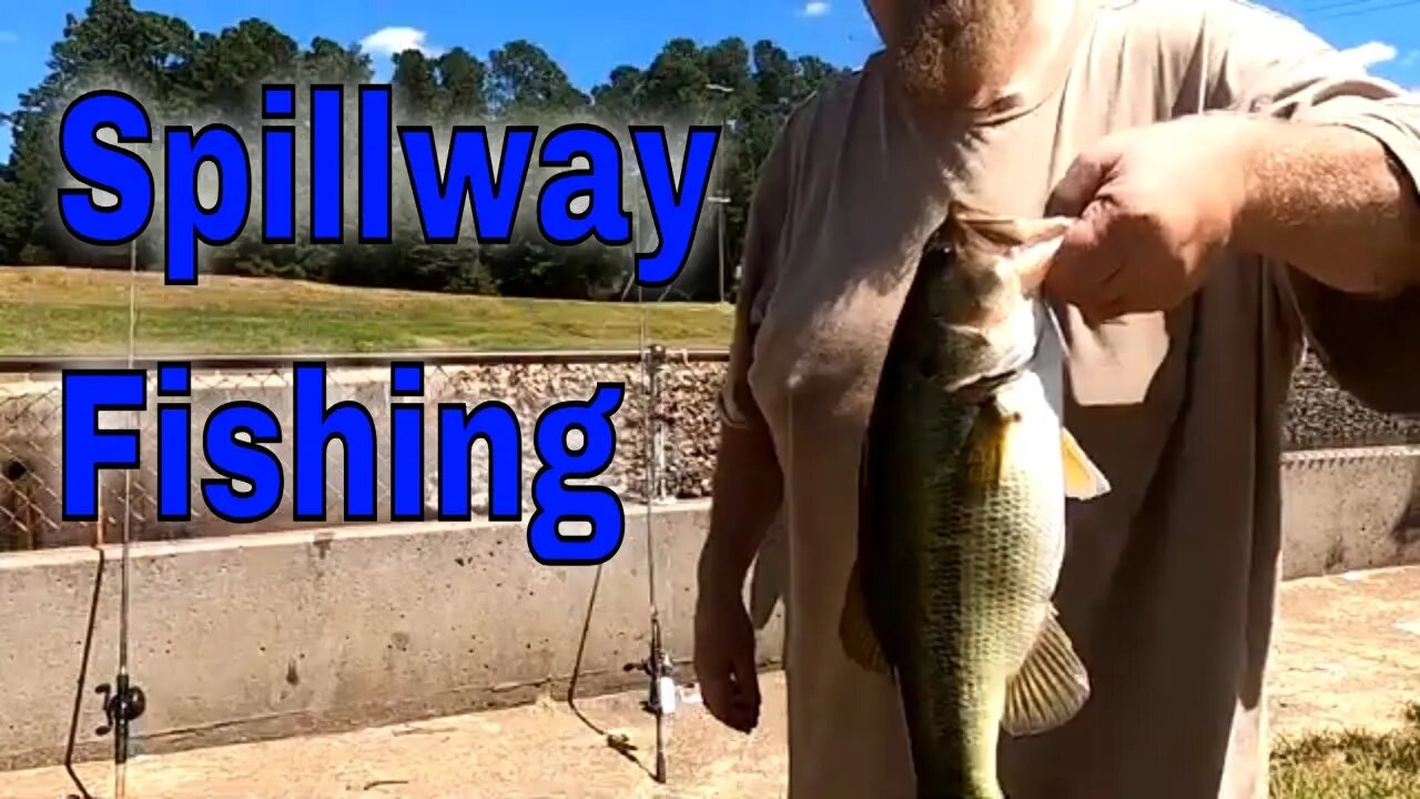 Mr. Eddie Show at The Spillway