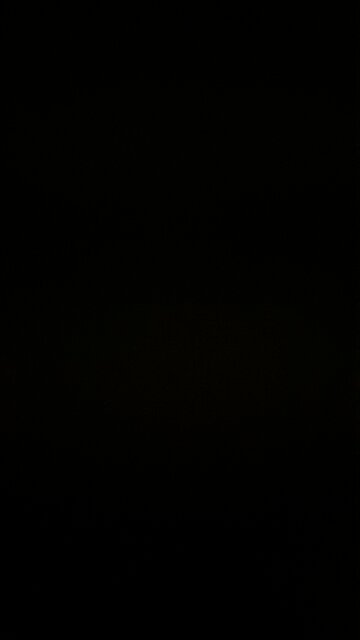 What’s in McDonald’s hamburger meat?