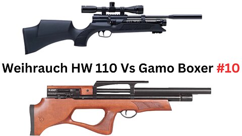 Weihrauch Hw 110 Vs Gamo Boxer