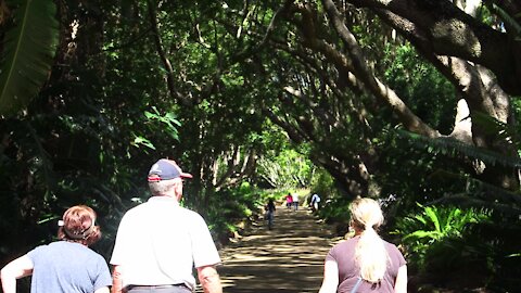 SOUTH AFRICA - Cape Town - Kirstenbosch National Botanical Garden (Video) (DoS)