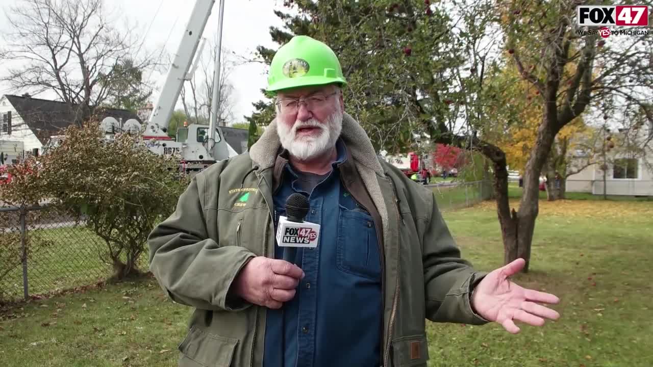 Safety and Preparing the 2018 Christmas Tree to be Transported to the Michigan State Capitol