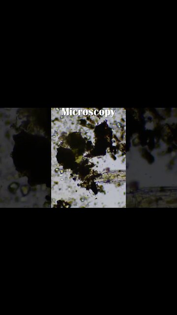 It is all about he Biology!