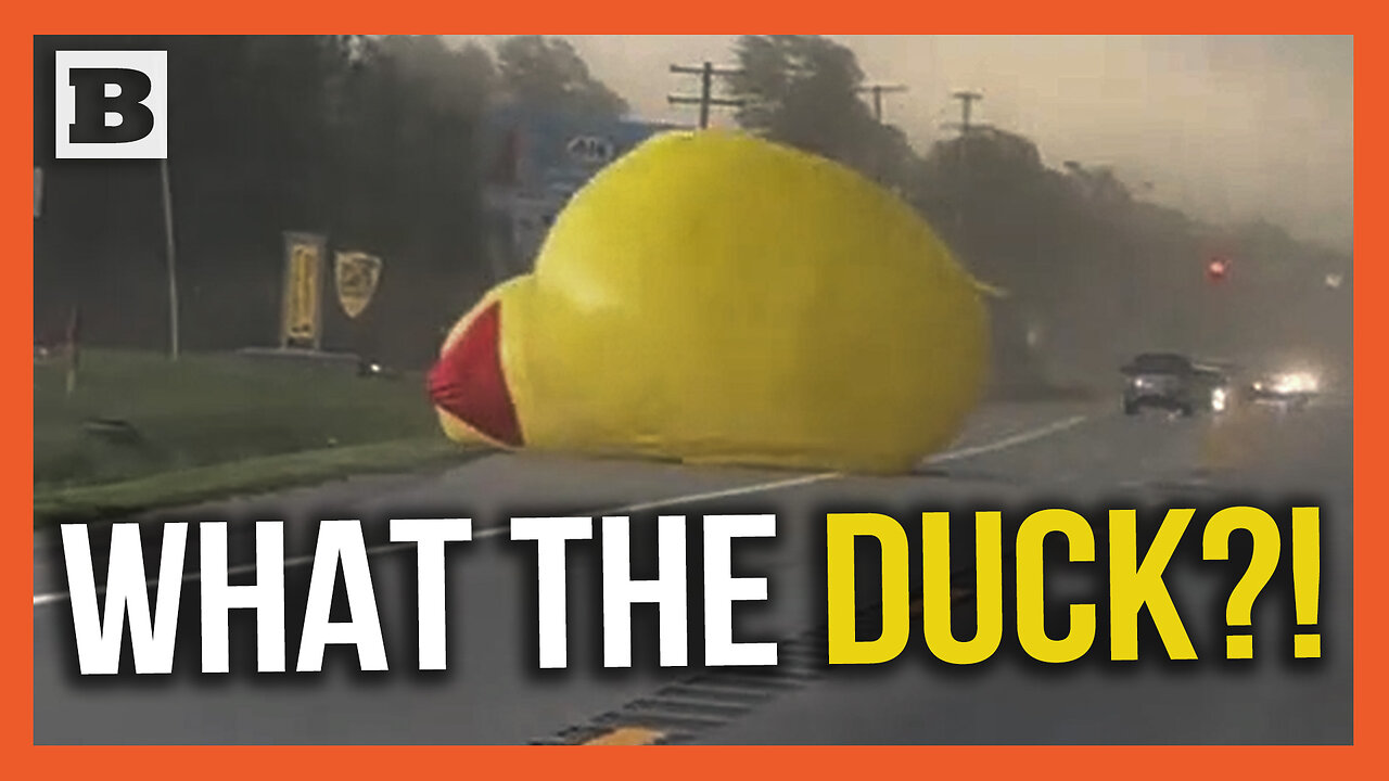 What the DUCK?! Giant Inflatable Duck Bounces Across Road