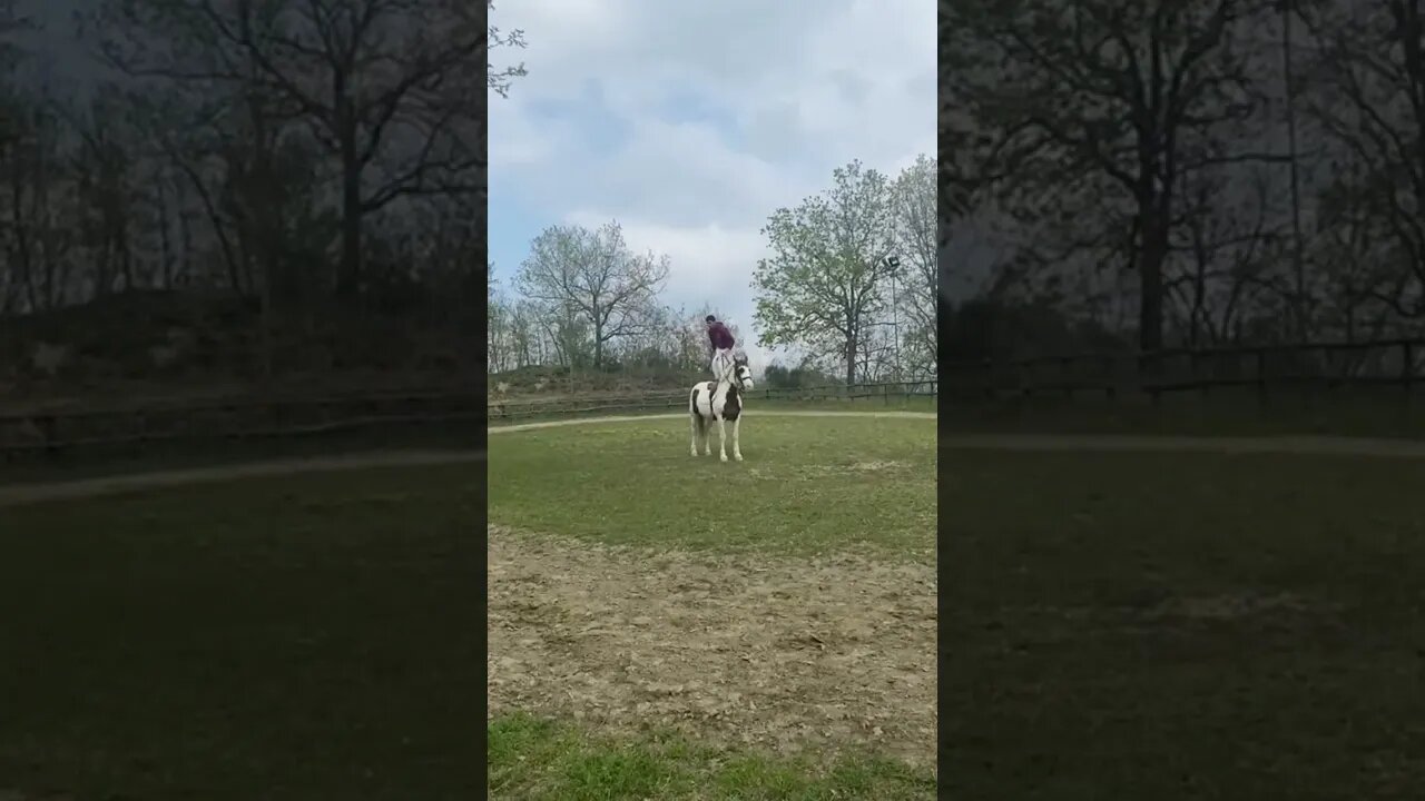 Doing Backflips on horses