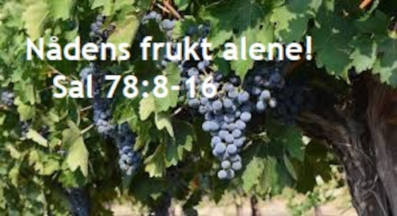 Oslo 2021: 2. Nådens frukt alene!