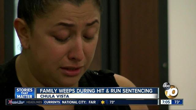 Family weeps during hit and run sentencing