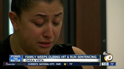 Family weeps during hit and run sentencing