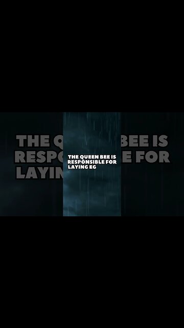 Incredible Random Facts That Will Expand Your Mind! [2023] #shorts #facts #viralshorts #fyp #life