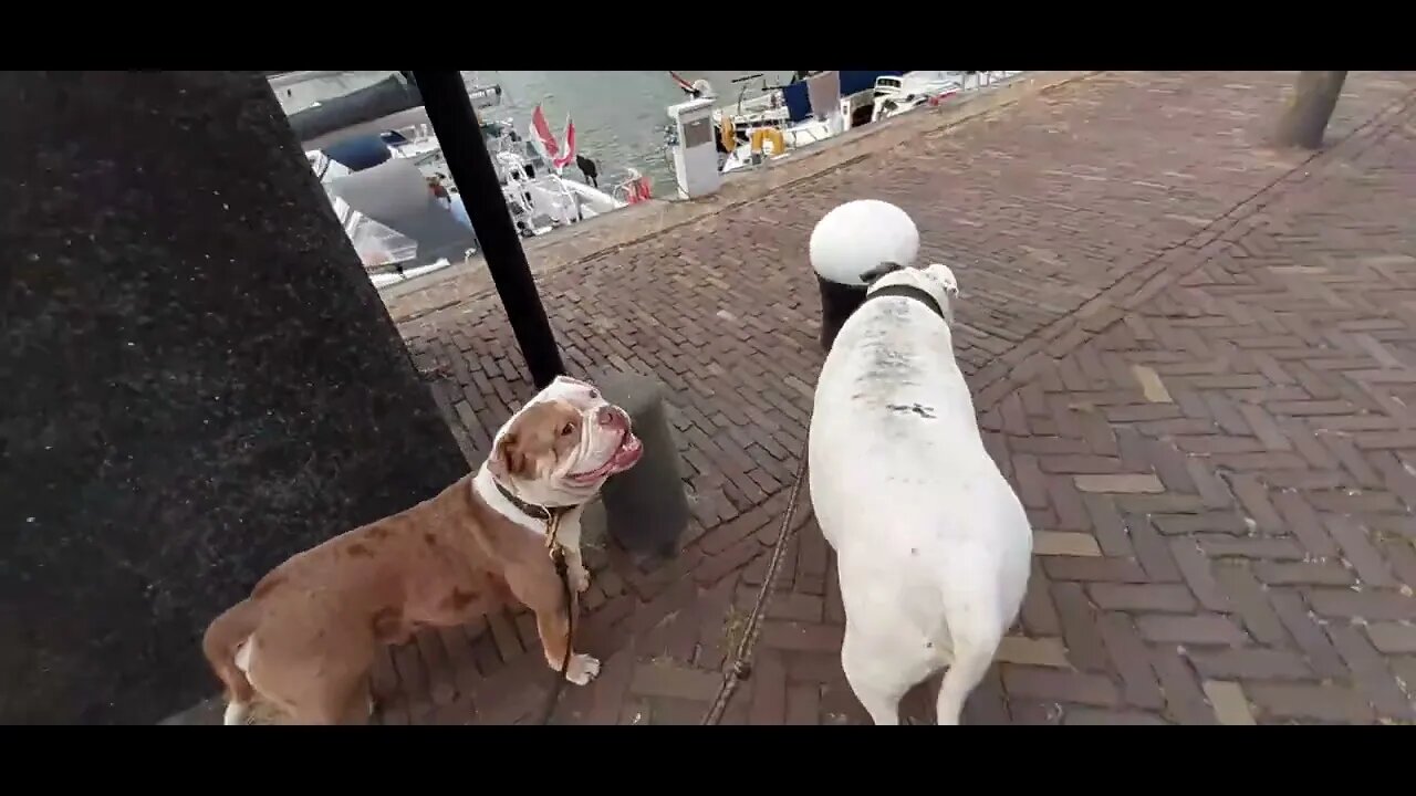 Winnie & Famke in Stavoren