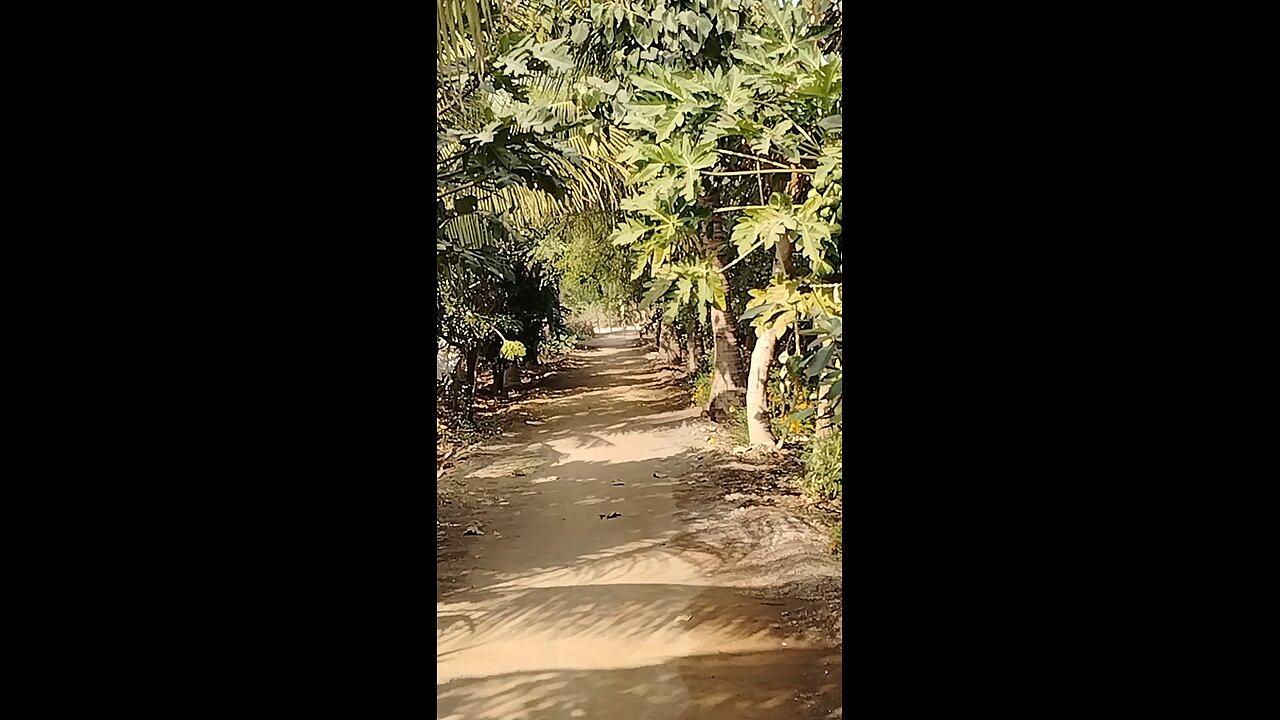 kudar ke najarw