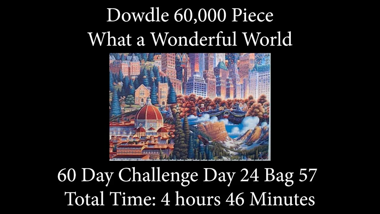 60,000 Piece Challenge What a Wonderful World Jigsaw Puzzle Time Lapse - Day 24 Bag 57!