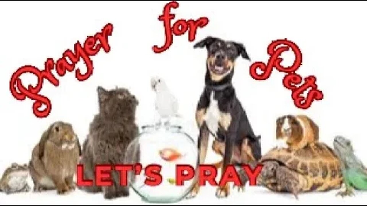 Prayer for Pets