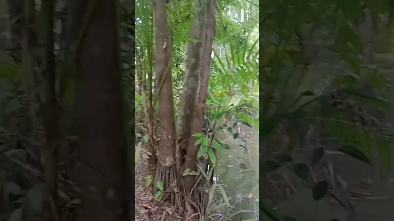 DEUS NO CONTROLE DOS TEUS SONHOS