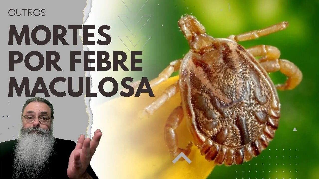 TRÊS MORTES por FEBRE MACULOSA em SHOW do SEU JORGE lembram do RISCO SÉRIO da DOENÇA no BRASIL