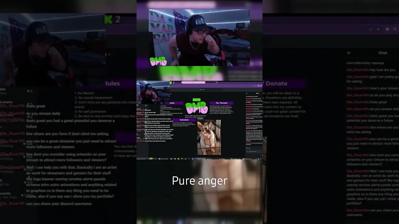 A Self Promoter Angered Provoked Me On Stream...