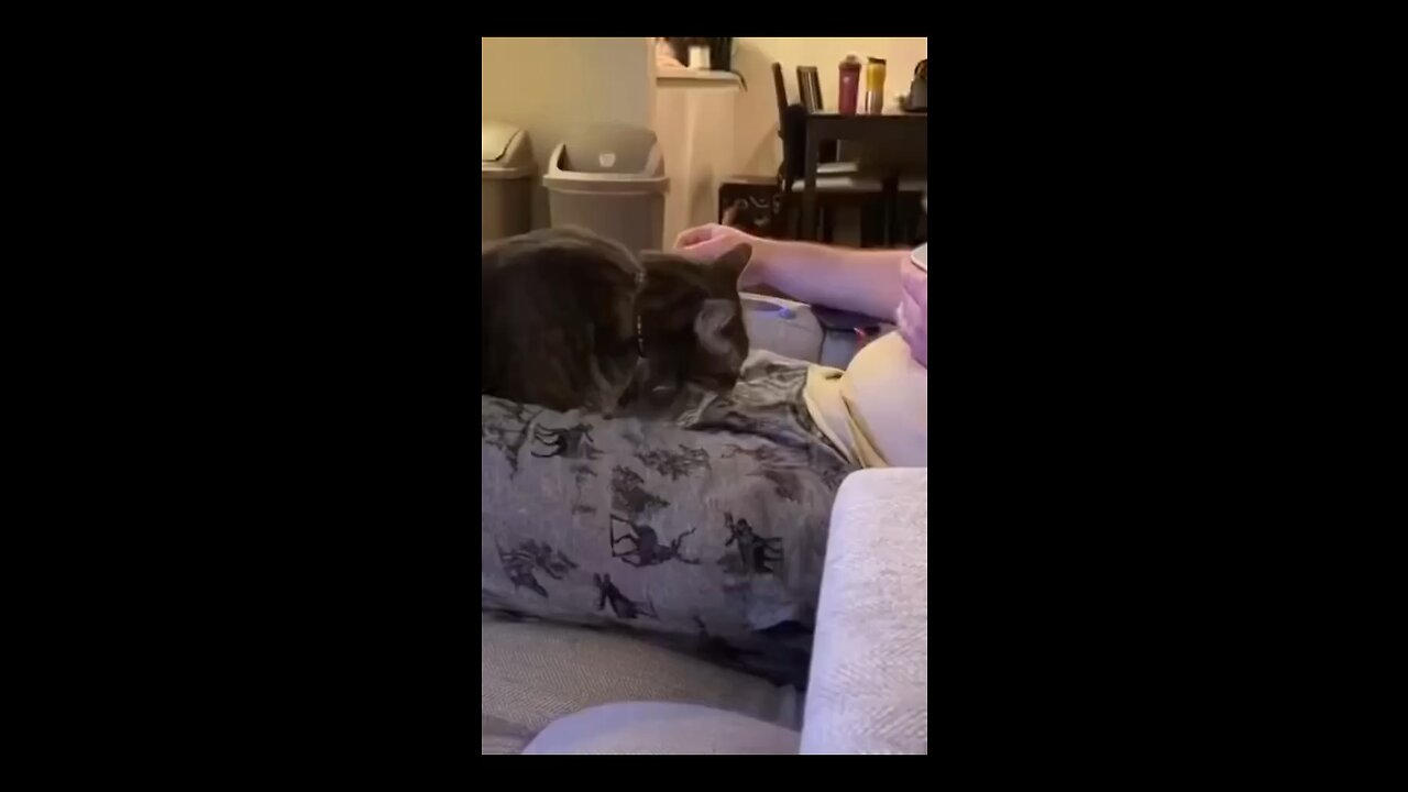 🤣