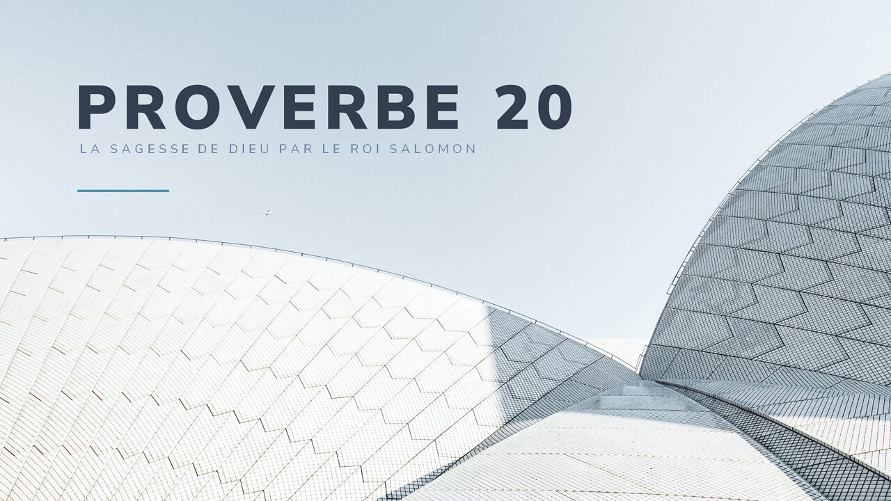 Le livre des Proverbes de Salomon: Chapitre 20.