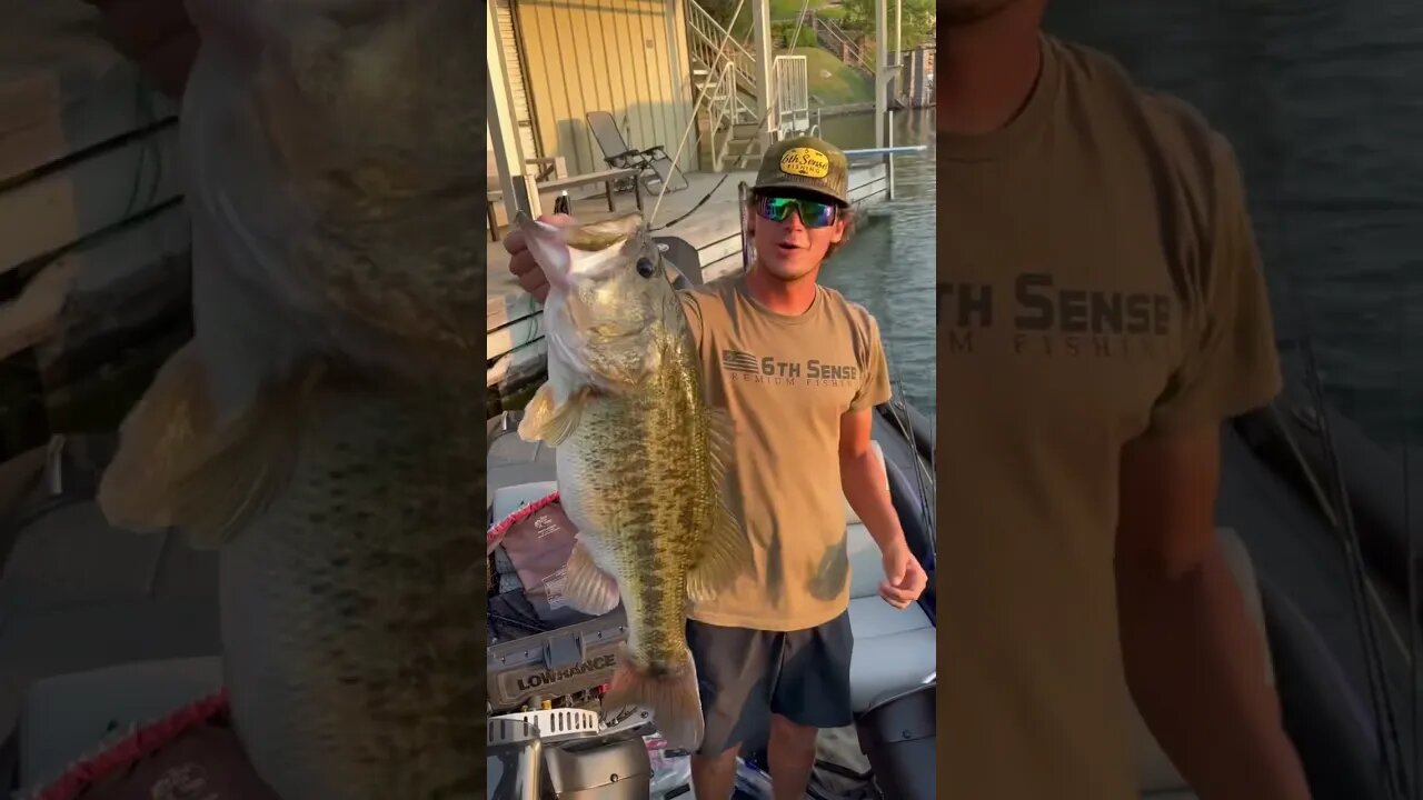 This Topwater Bait Gets Bit ALL SUMMER LONG #6thsensefishing #fishing #giantbass #bassfishing